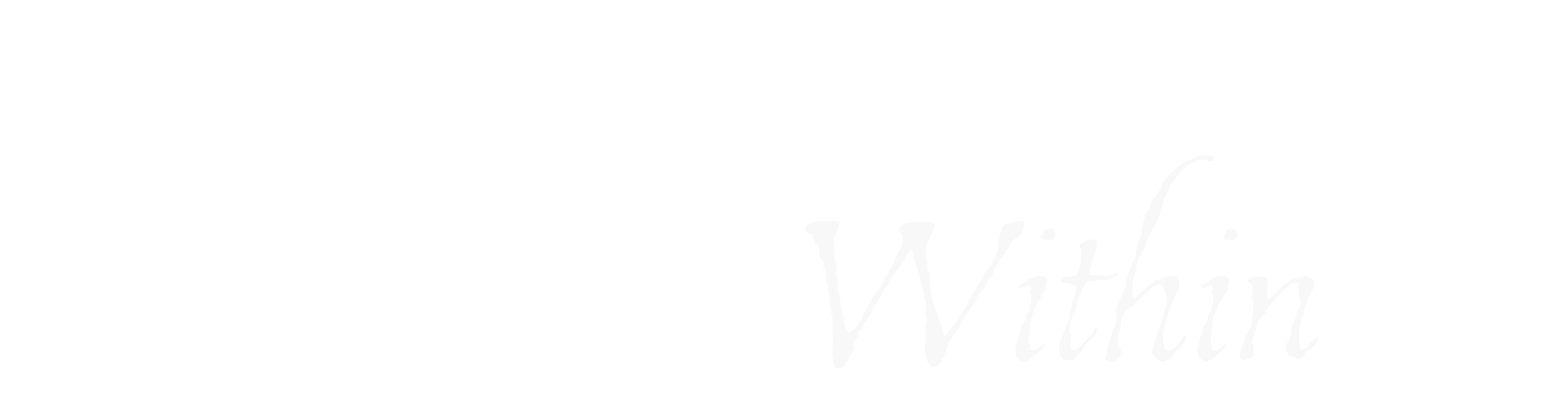 journey within